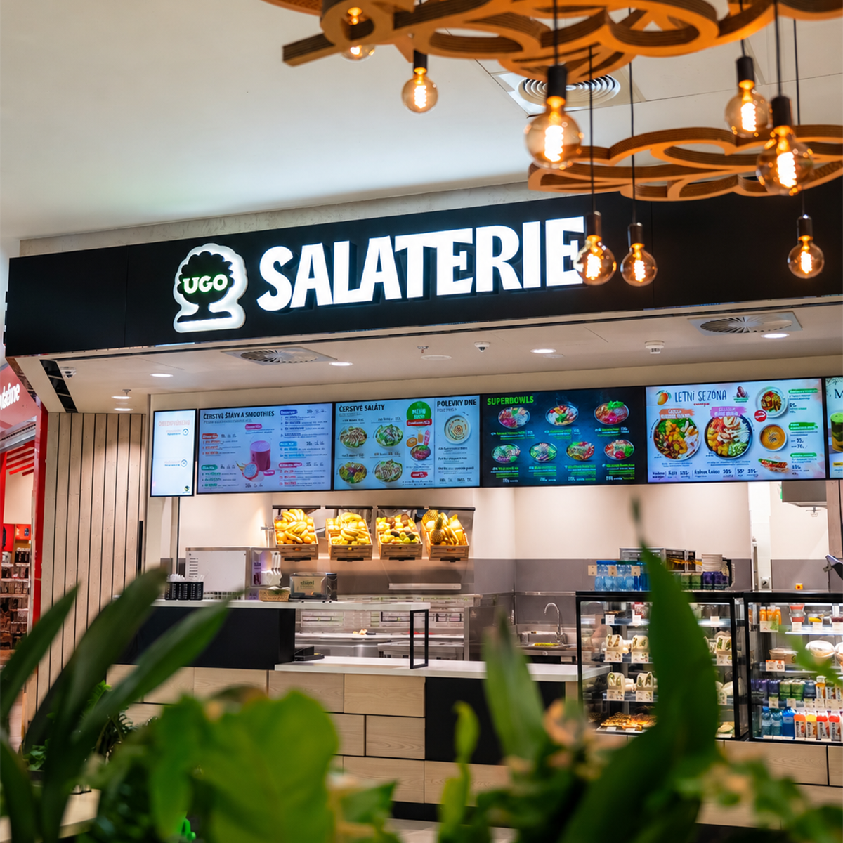UGO Salaterie