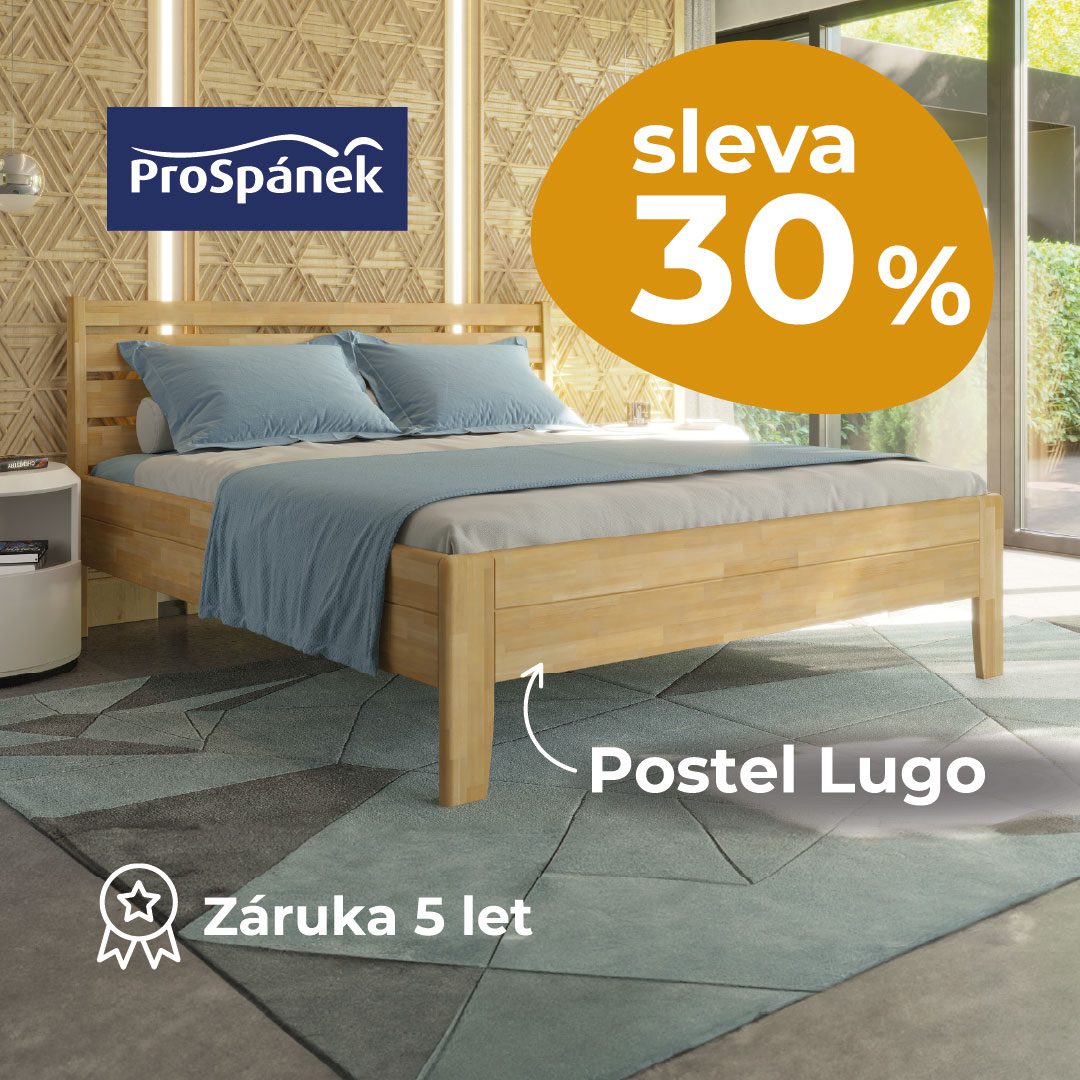 Akční nabídka