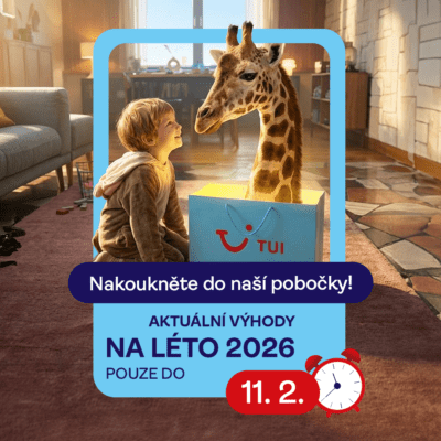 obrázek obsahuje: Léto 2026