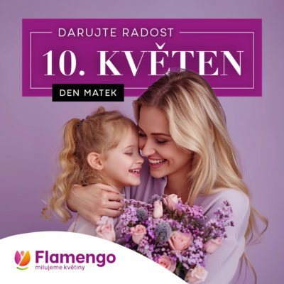 obrázek obsahuje: Řekněte mamince „děkuji“ květinou.